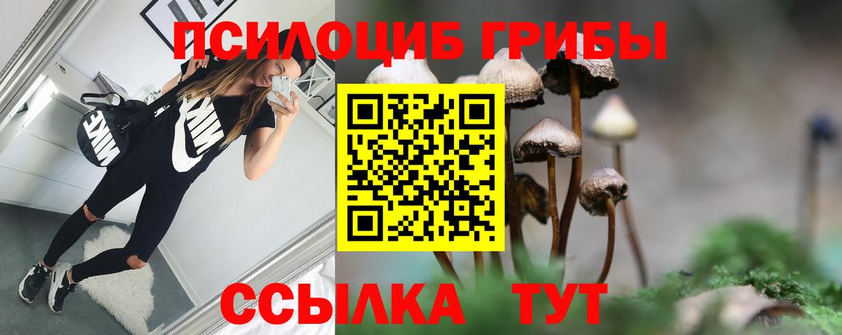 Тихвин  Галлюциногенные грибы Psilocybe  Вход с VPN  продажа наркотиков  Галлюциногенные грибы Magic Shrooms 
